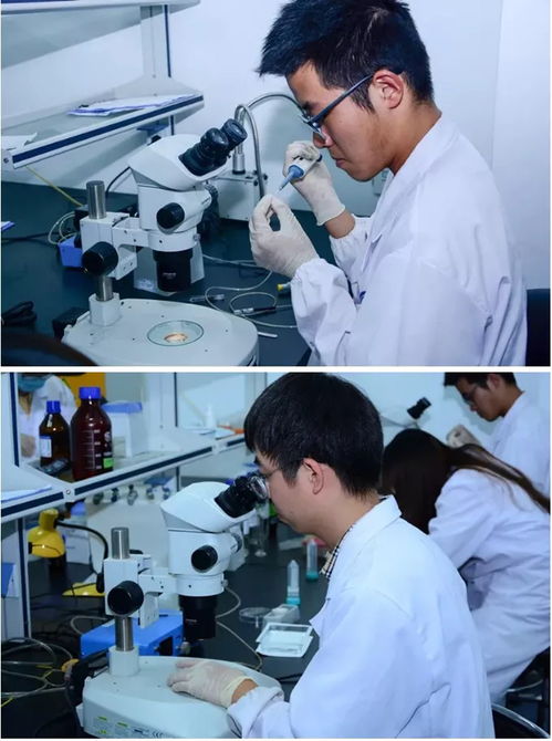 杭州环特生物科技股份有限公司动态 前沿生物科技技术引领行业创新